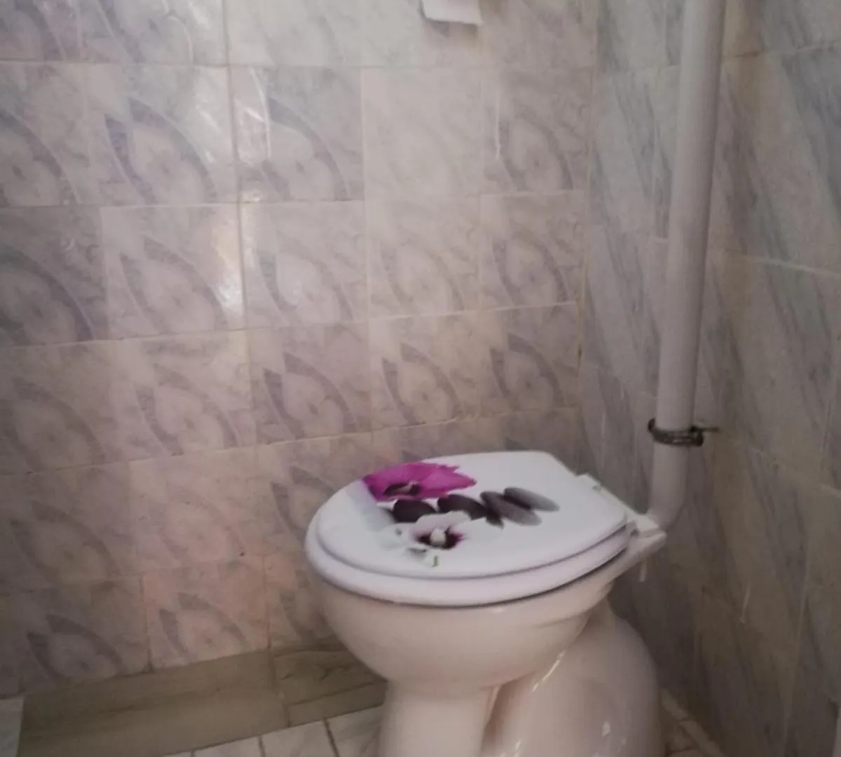Auberge de jeunesse Casa Mia à Vlorë