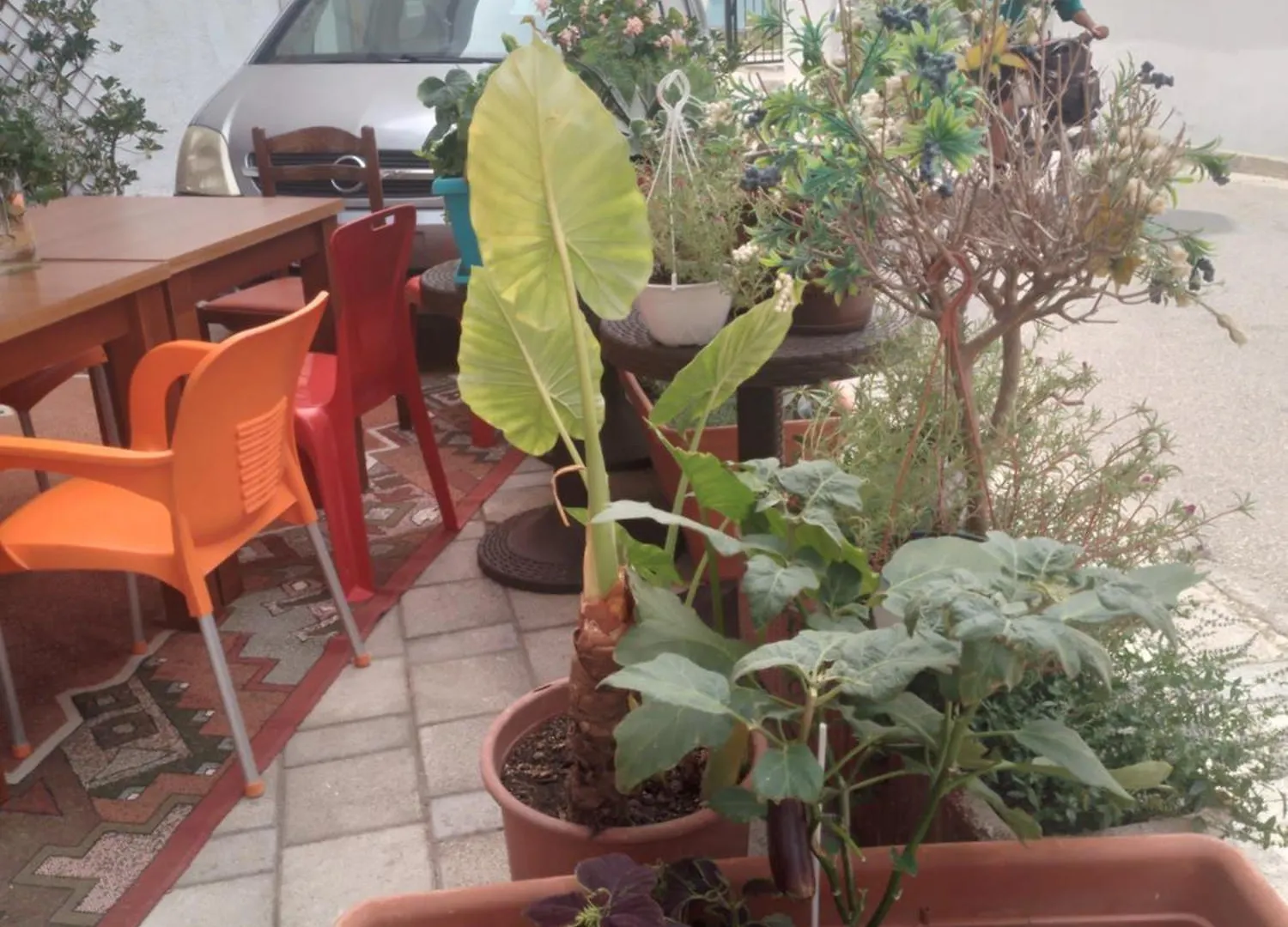Auberge de jeunesse Casa Mia à Vlorë