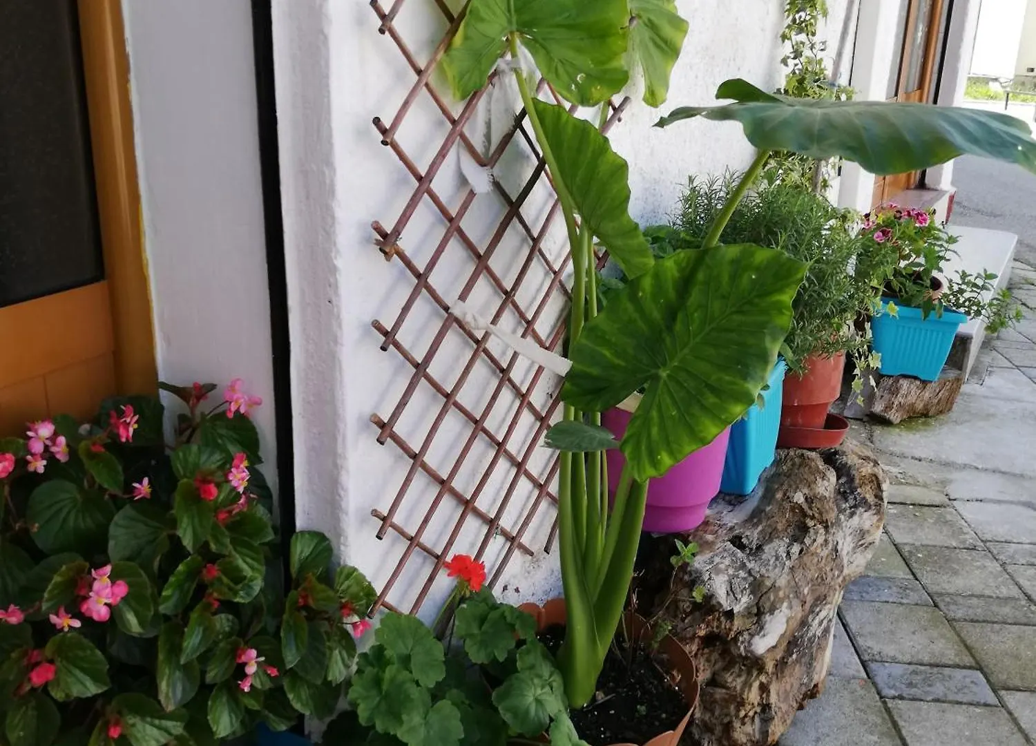 Auberge de jeunesse Casa Mia à Vlorë 0*,